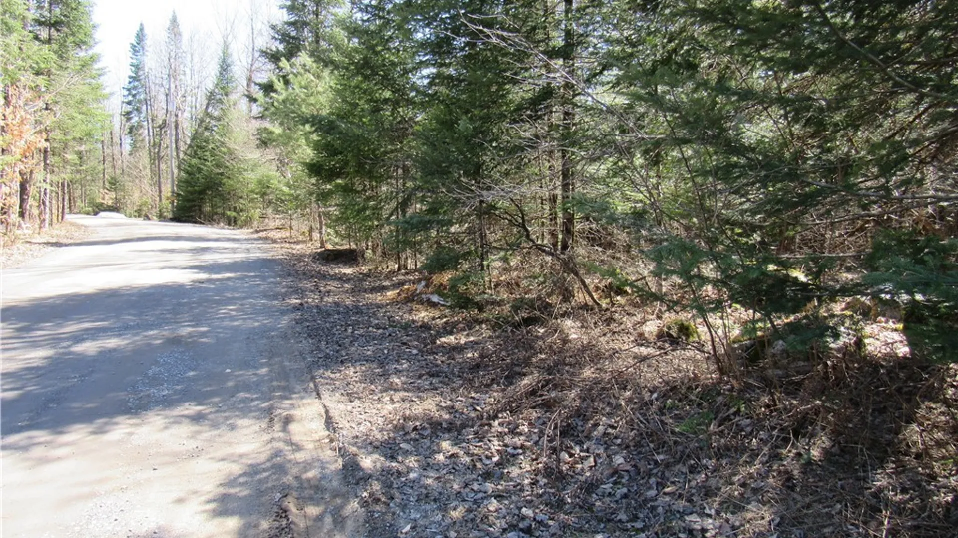 Property at 1018 South Road, Forestport, NY 13338 7