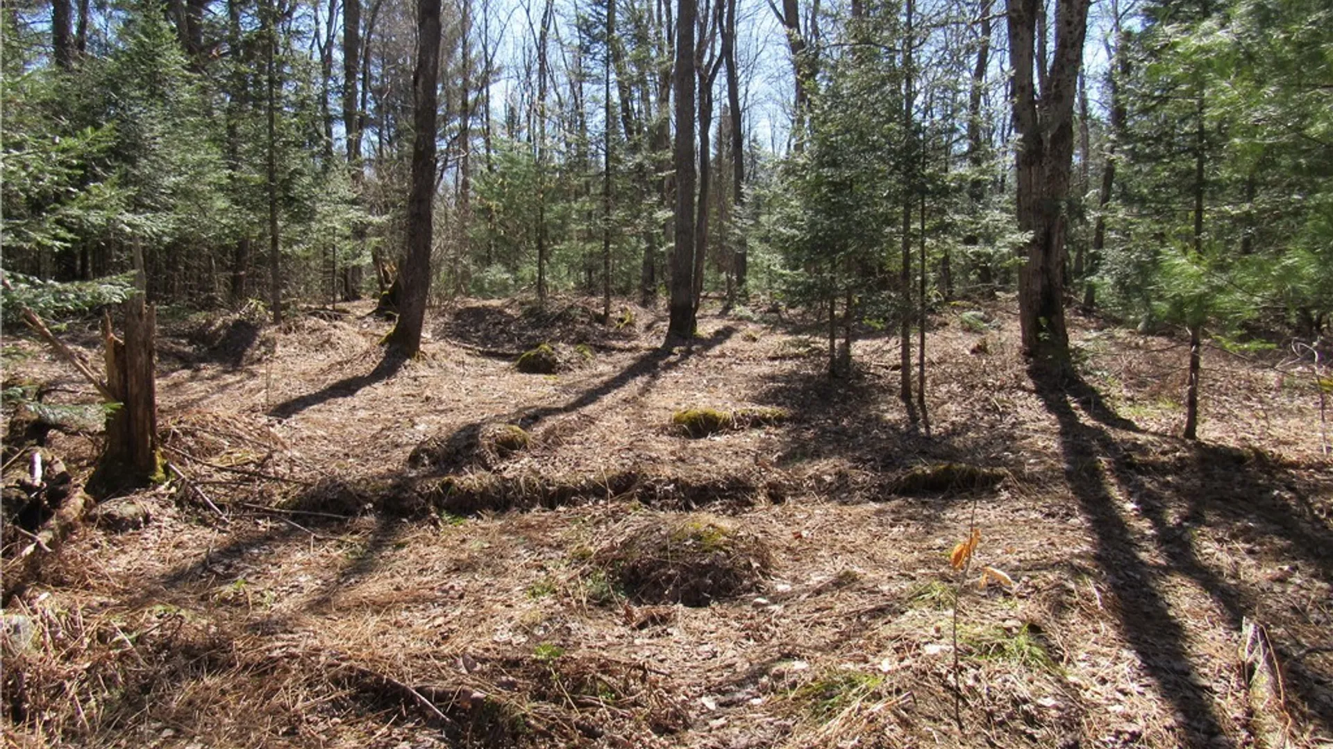 Property at 1018 South Road, Forestport, NY 13338 8