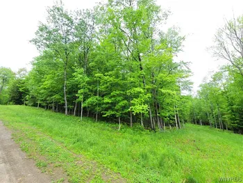 0 Cr-24- Lot 18, Grove, NY 14884