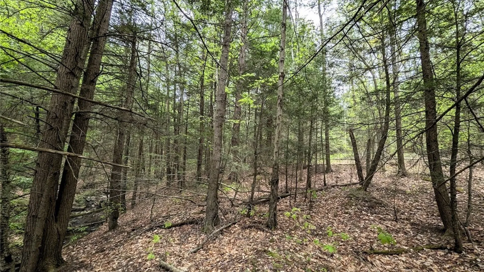 Property at Stewart Road, Addison, NY 14801 10