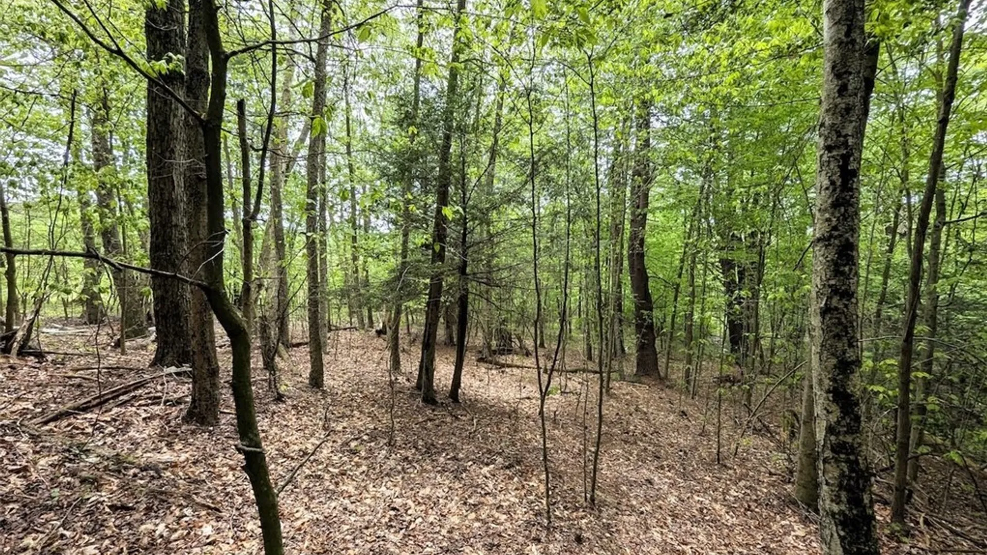 Property at Stewart Road, Addison, NY 14801 12