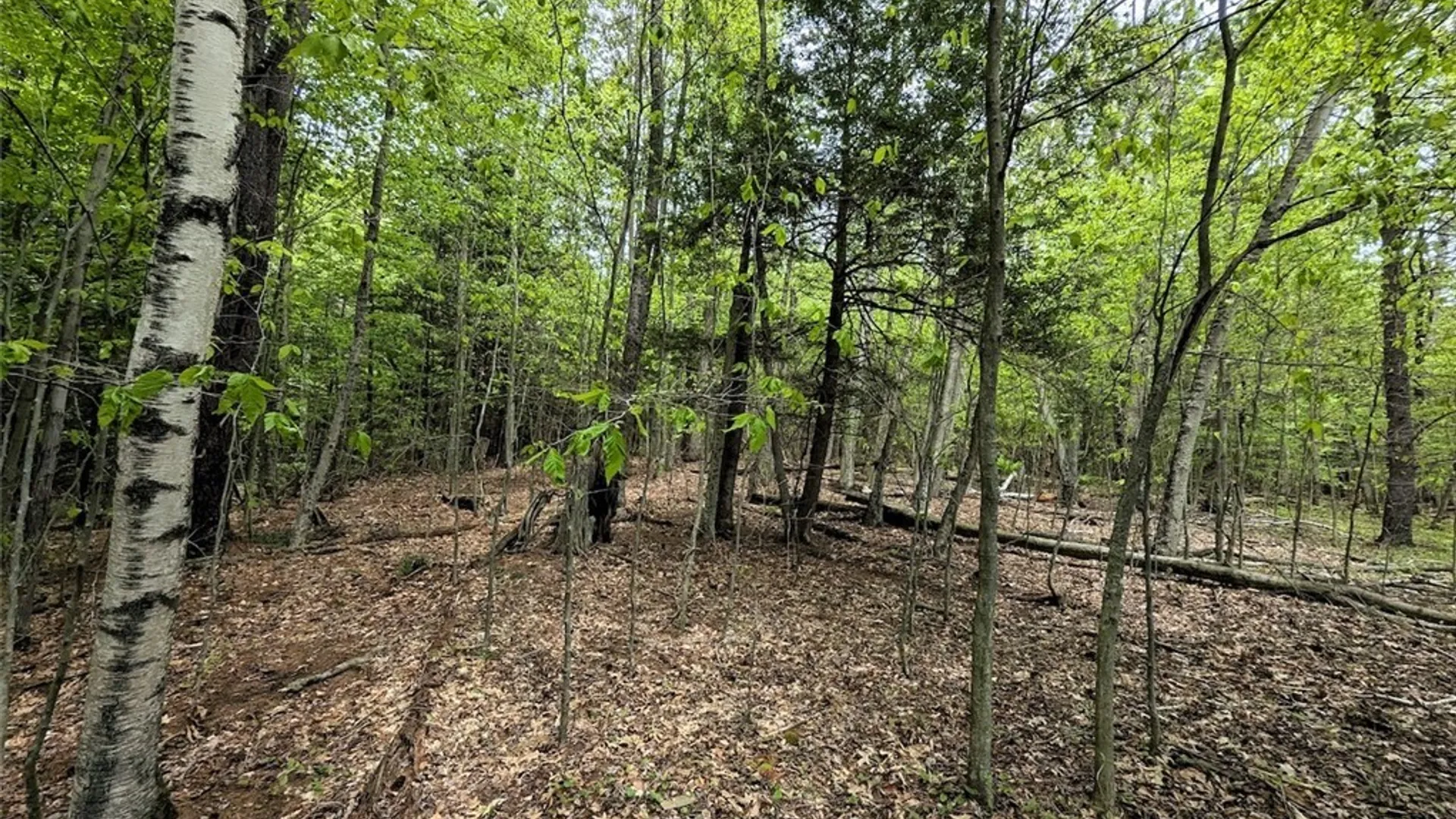 Property at Stewart Road, Addison, NY 14801 14