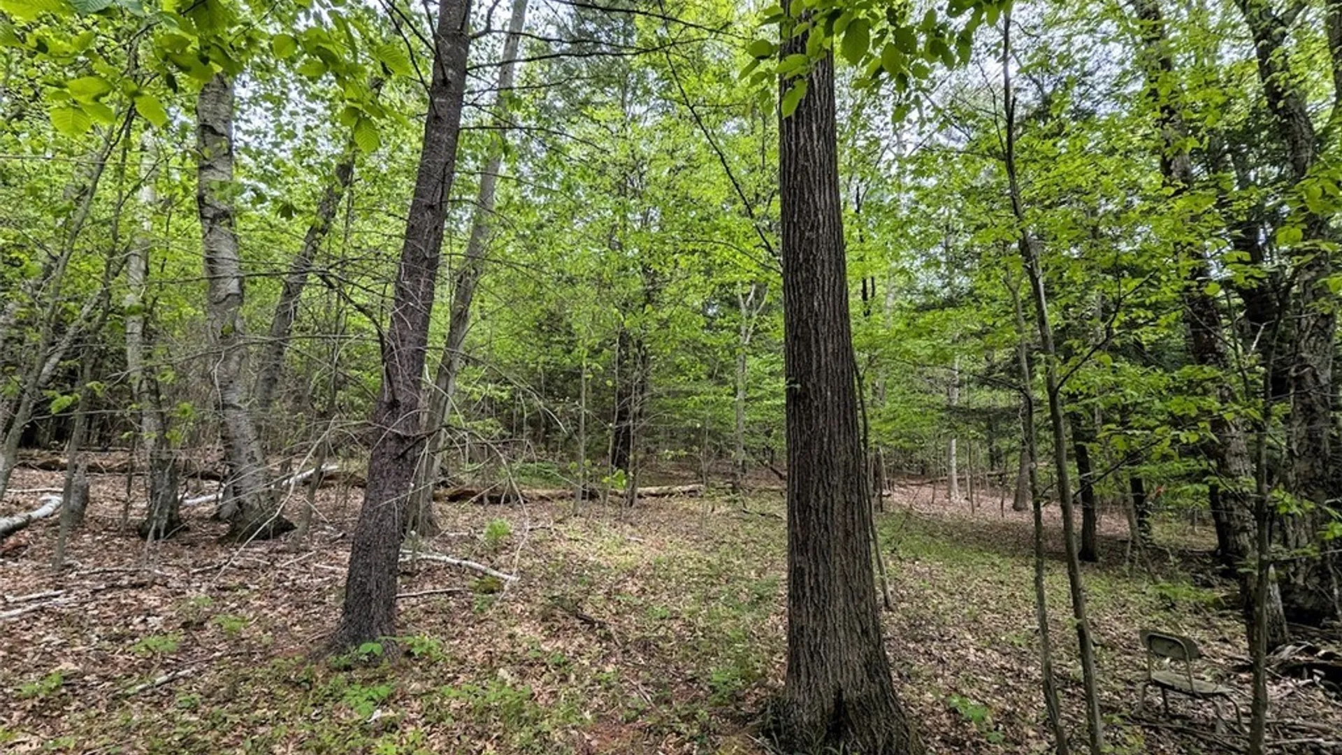 Property at Stewart Road, Addison, NY 14801 15