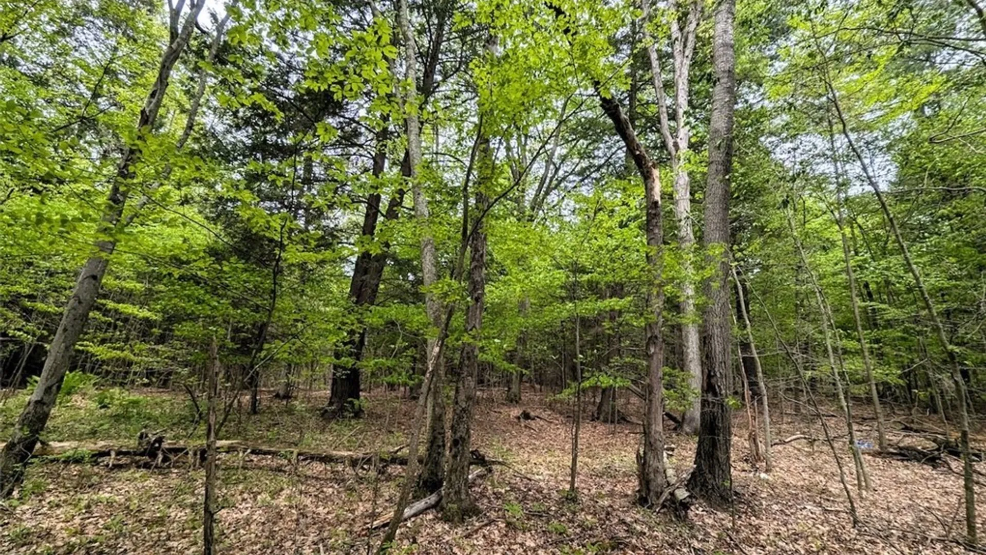 Property at Stewart Road, Addison, NY 14801 16
