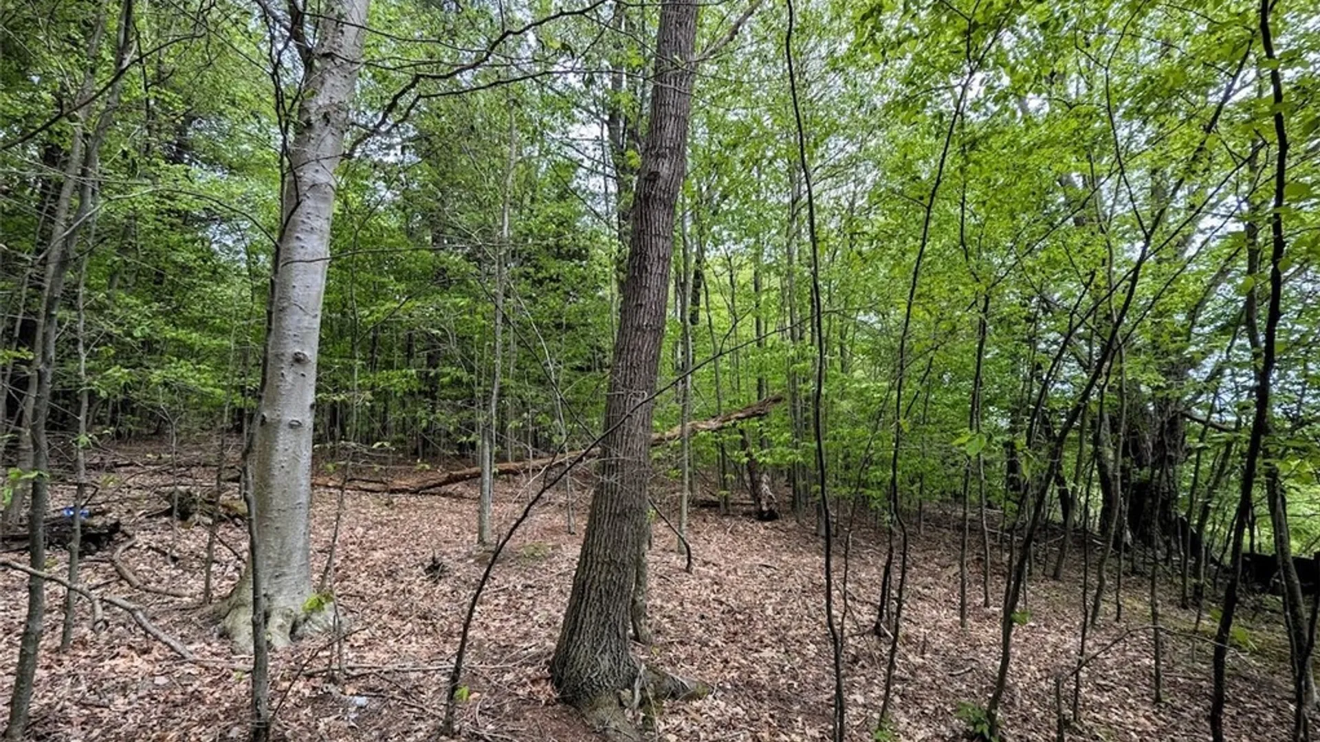 Property at Stewart Road, Addison, NY 14801 17