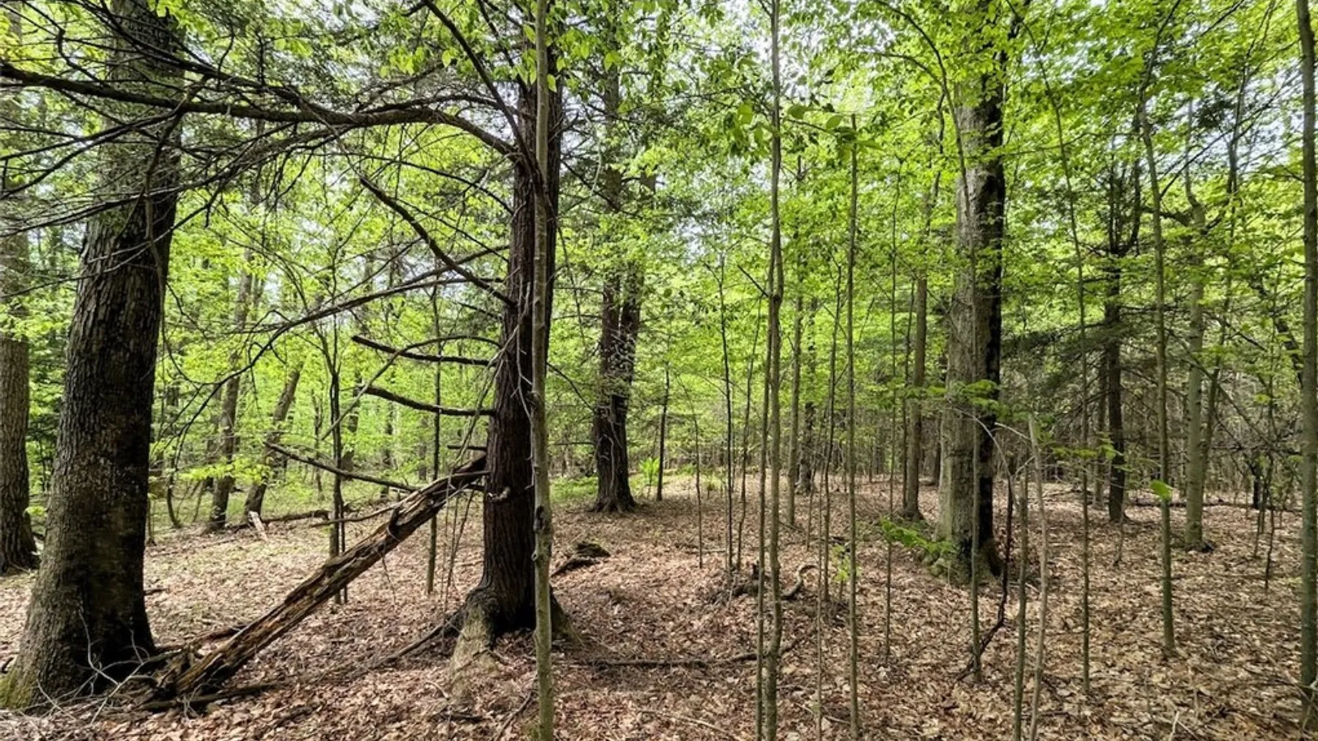 Property at Stewart Road, Addison, NY 14801 19
