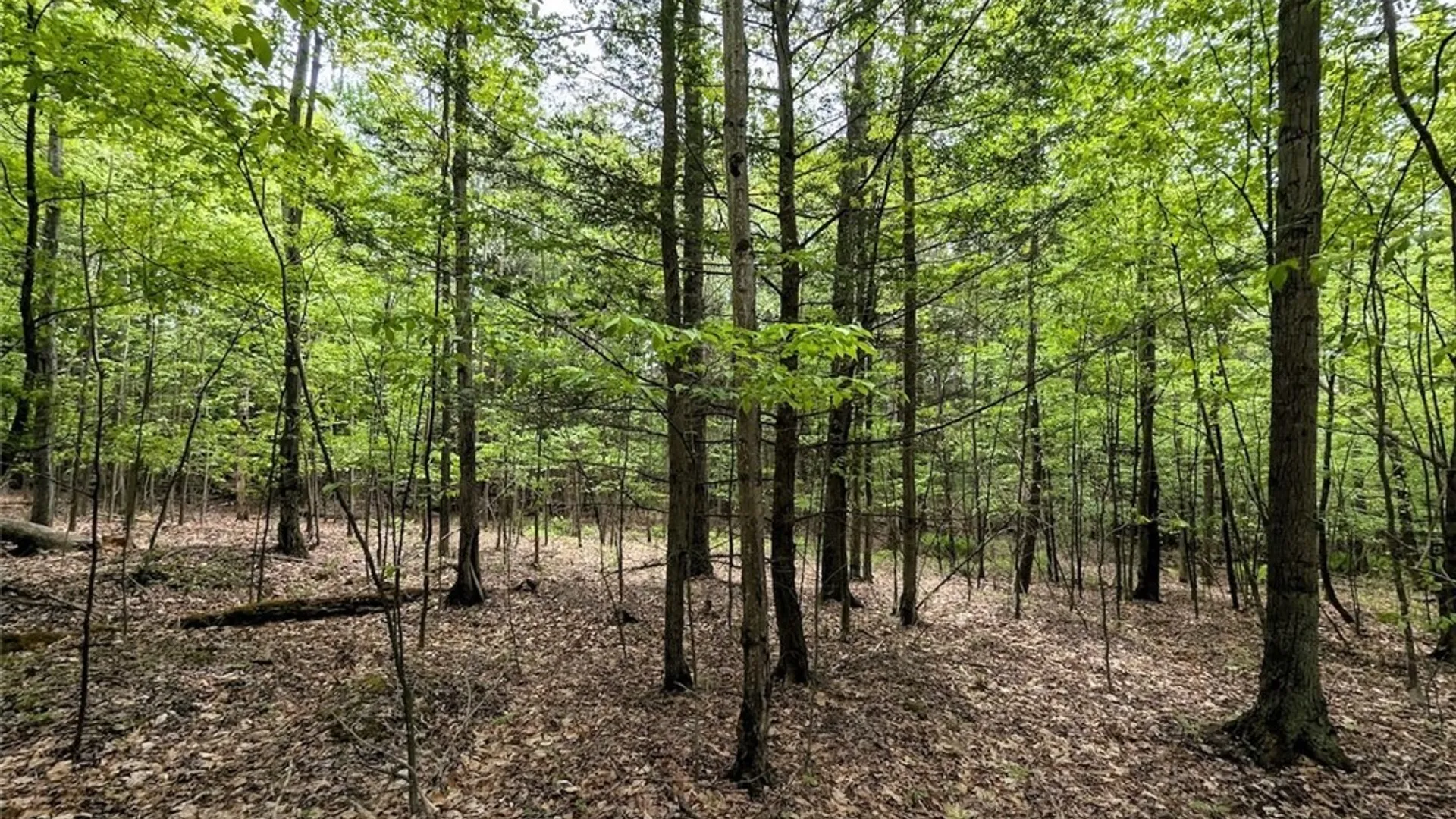Property at Stewart Road, Addison, NY 14801 2