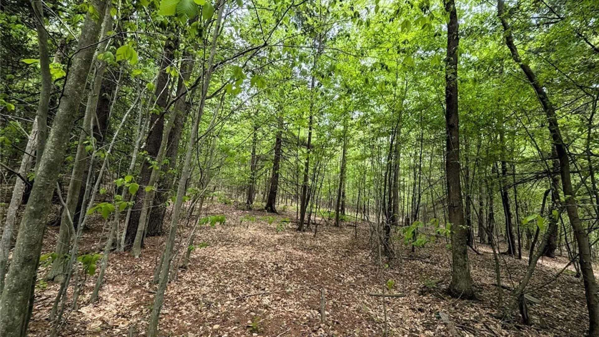 Property at Stewart Road, Addison, NY 14801 20