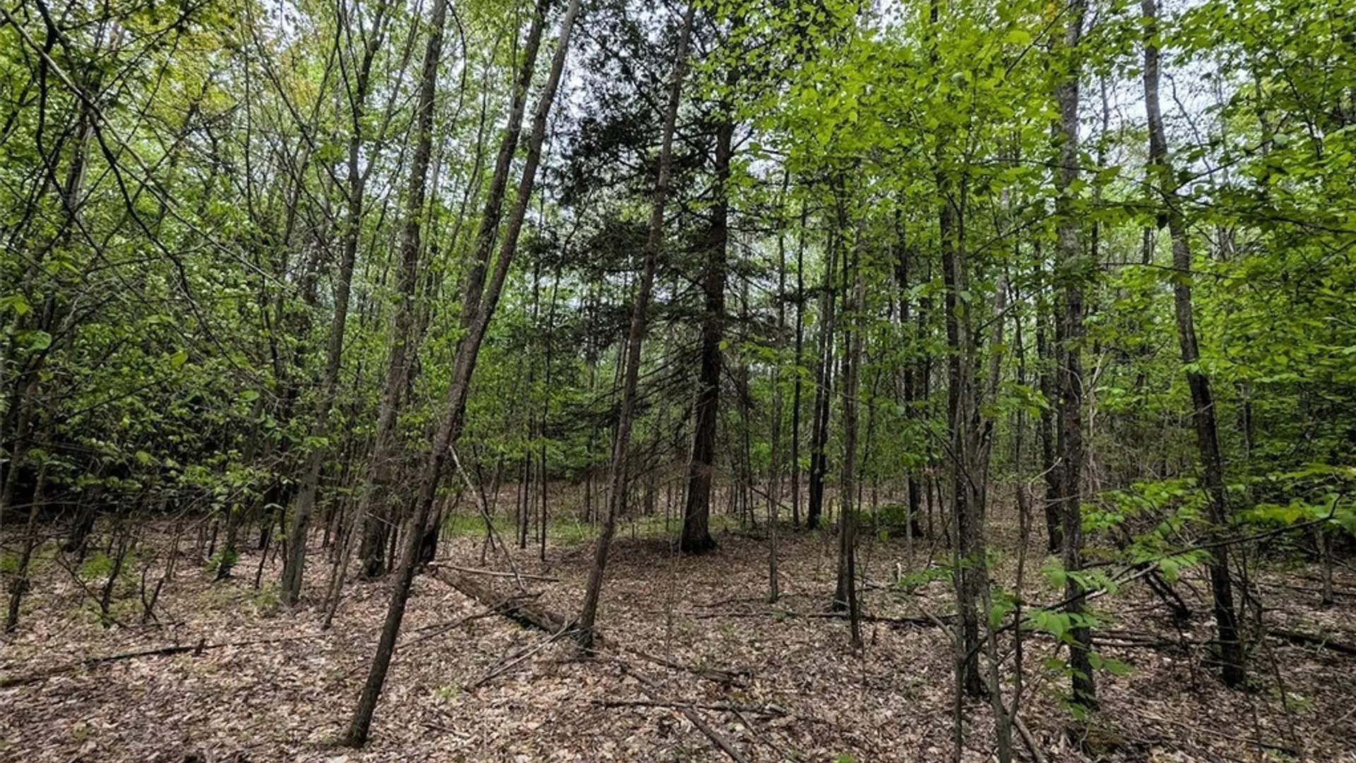 Property at Stewart Road, Addison, NY 14801 24