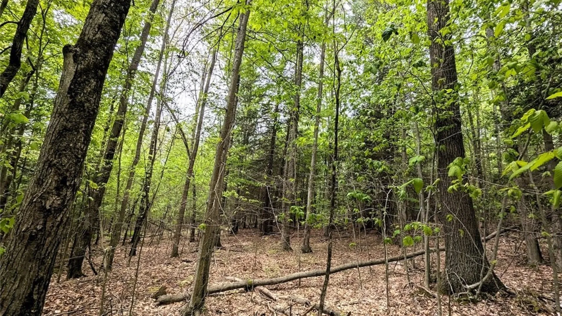 Property at Stewart Road, Addison, NY 14801 27