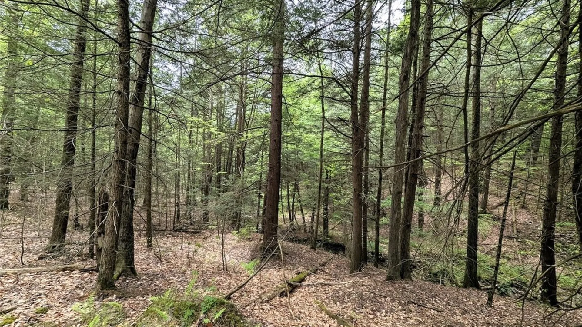Property at Stewart Road, Addison, NY 14801 3