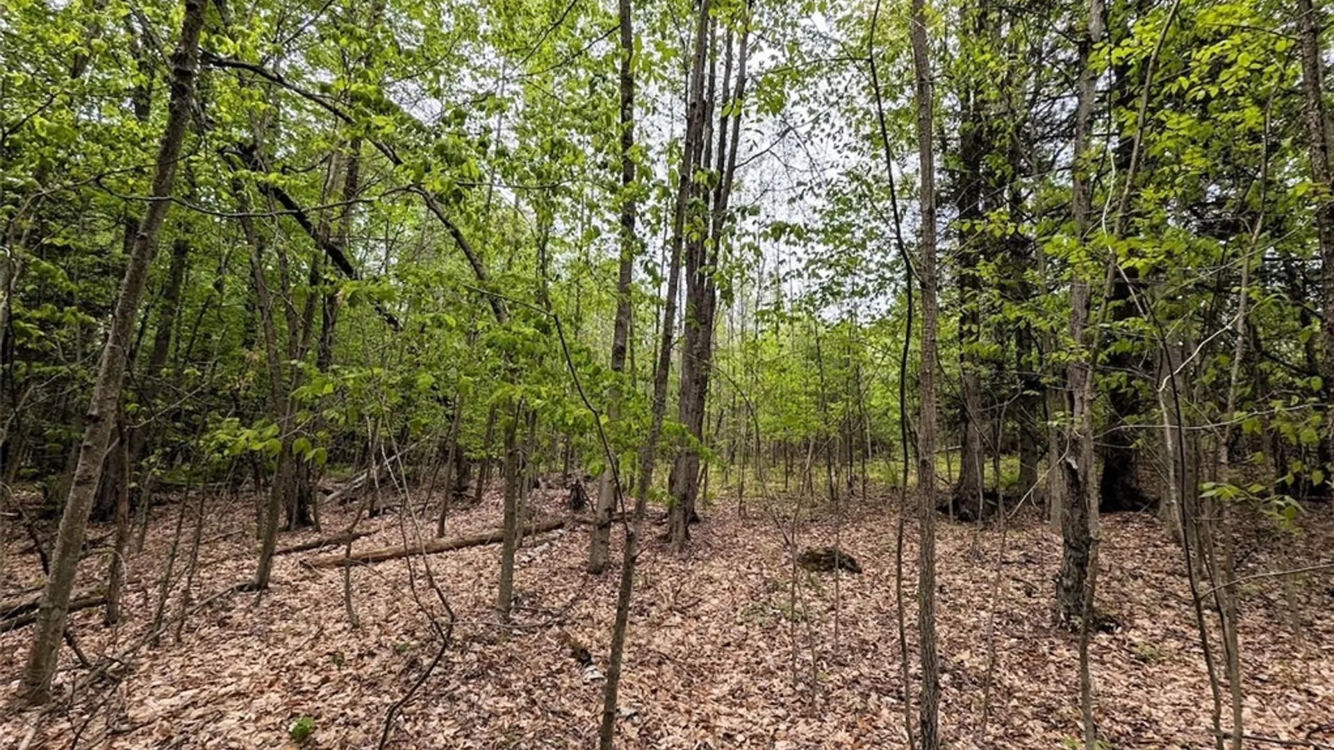 Property at Stewart Road, Addison, NY 14801 30
