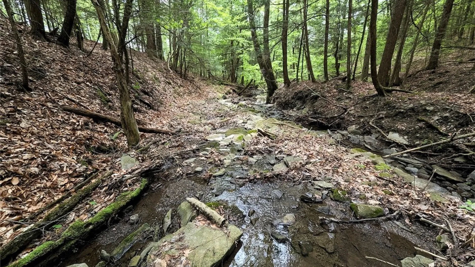 Property at Stewart Road, Addison, NY 14801 5