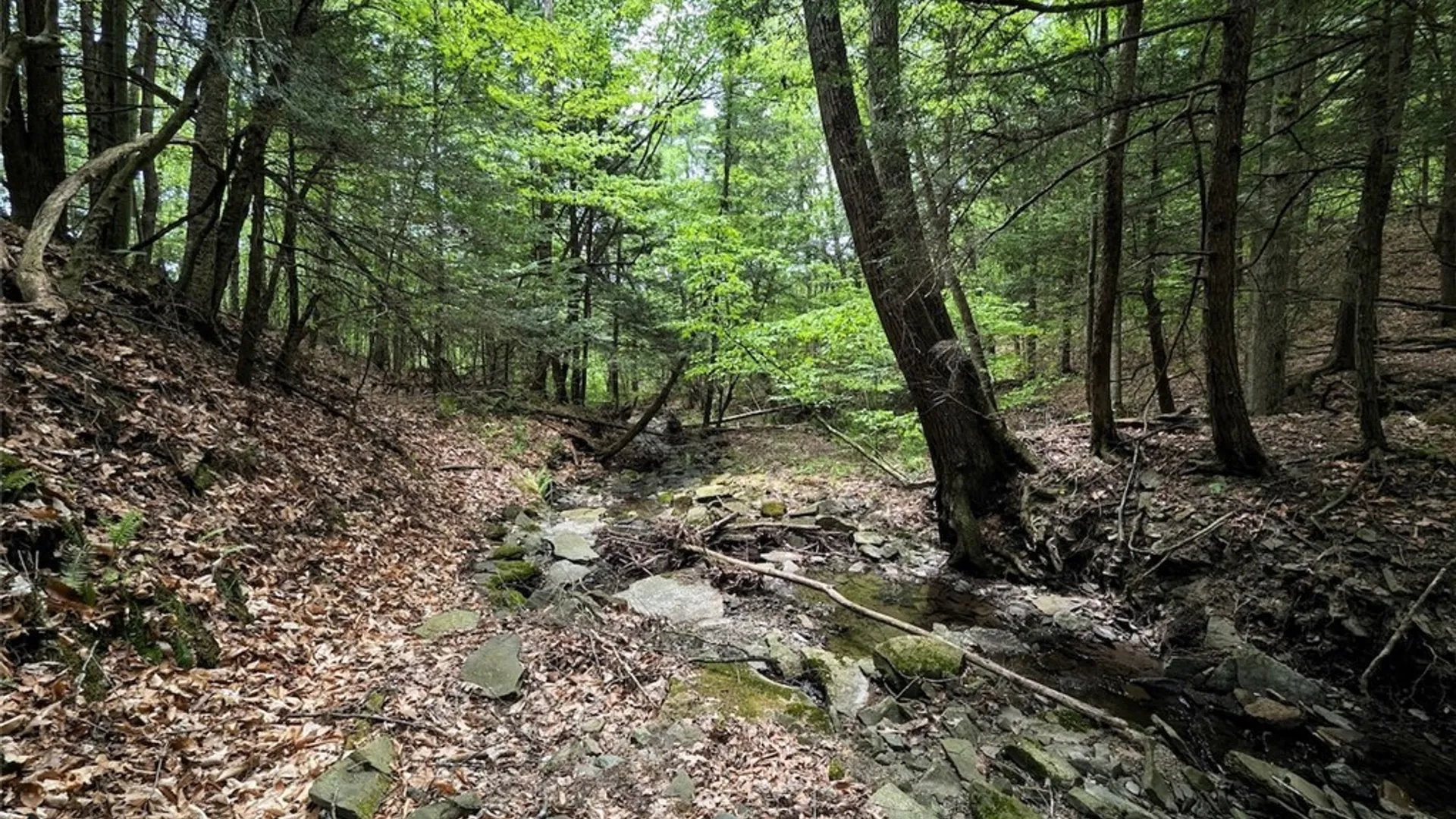 Property at Stewart Road, Addison, NY 14801 6