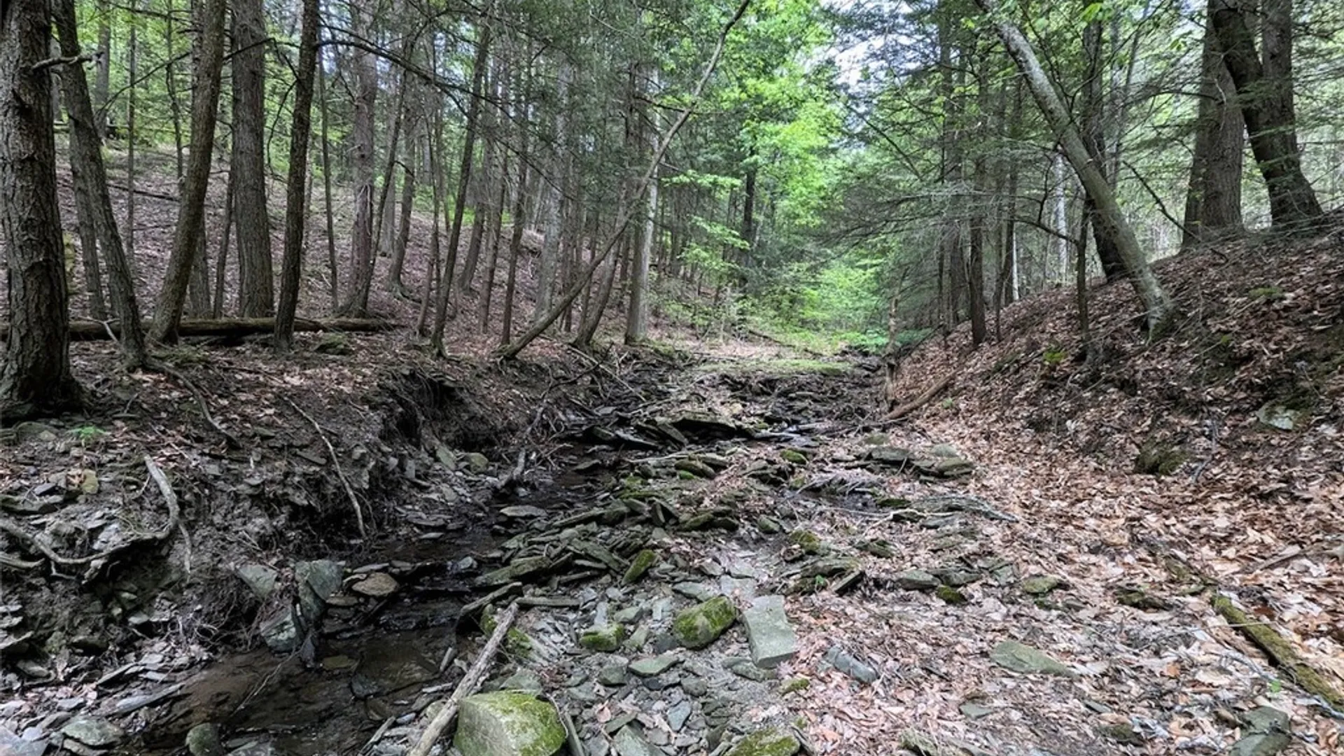 Property at Stewart Road, Addison, NY 14801 7