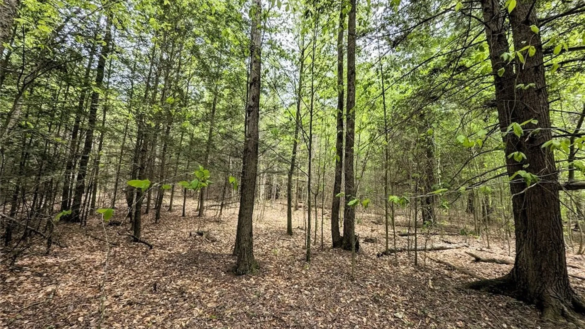 Property at Stewart Road, Addison, NY 14801 8