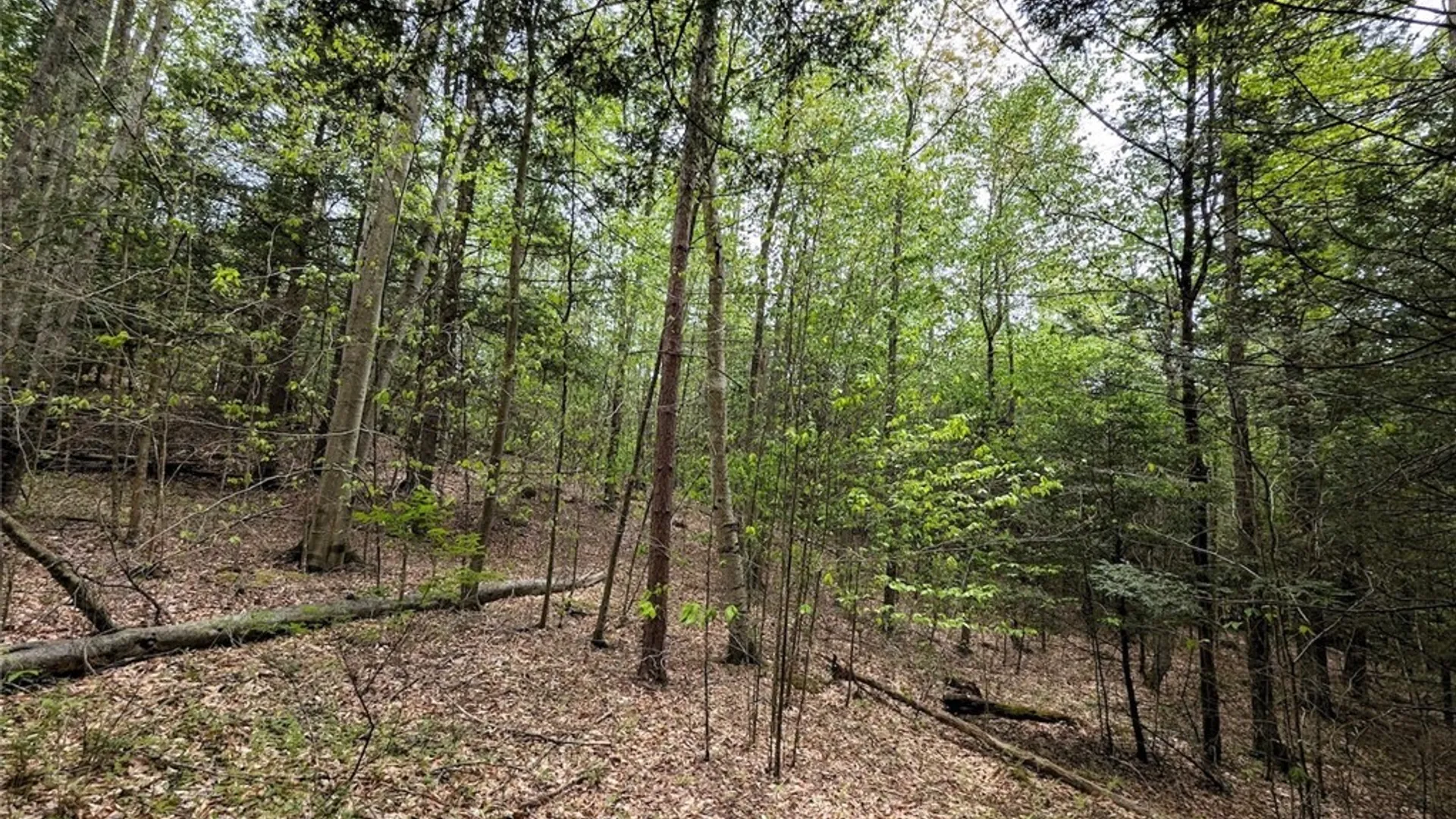 Property at Stewart Road, Addison, NY 14801 9