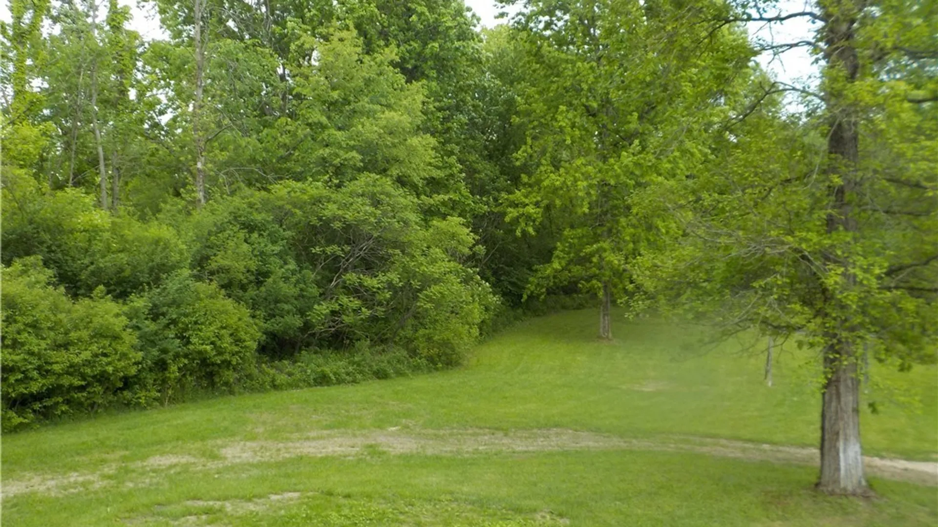 Property at 3346 Ditmar Road, Cato, NY 13166 31