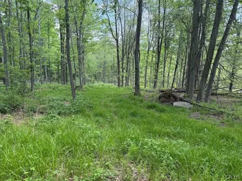 Property at Dye Road, Dayton, NY 14138