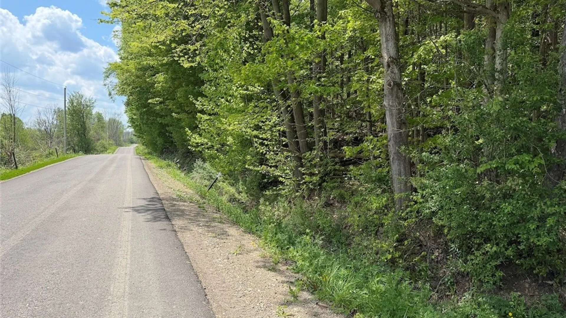 Property at Dye Road, Dayton, NY 14138 26
