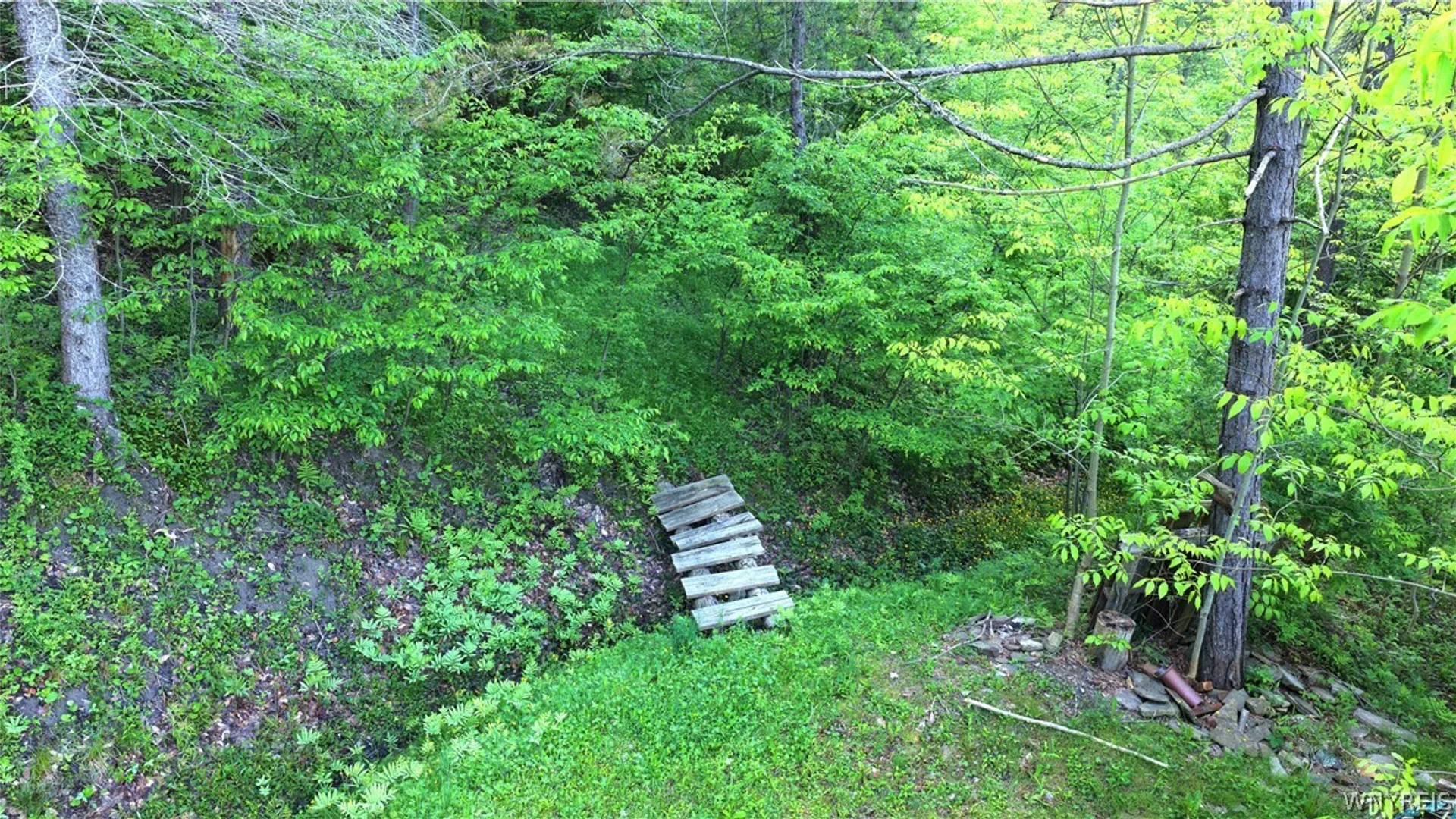 Property at 6964 Route 219, Ellicottville, NY 14731 27