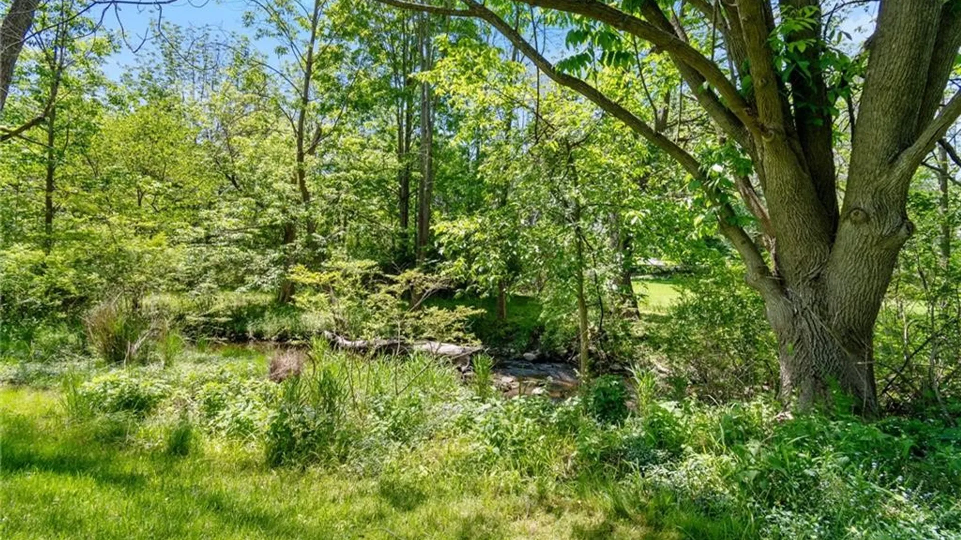 Property at 3525 Monroe Avenue, Pittsford, NY 14534 5