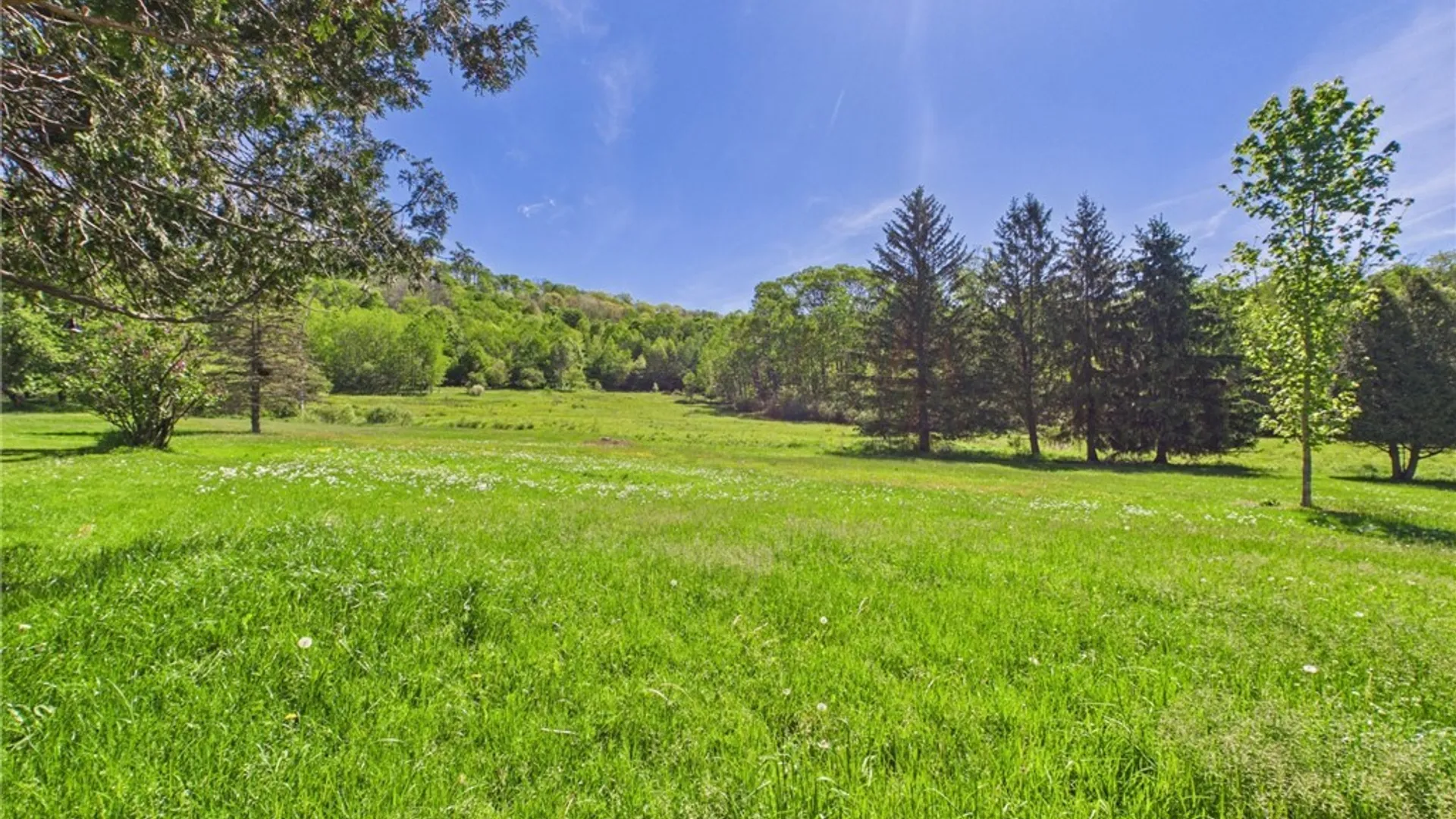 Property at 373 Kansas Branch Road, Otto Twp, PA 16729 36