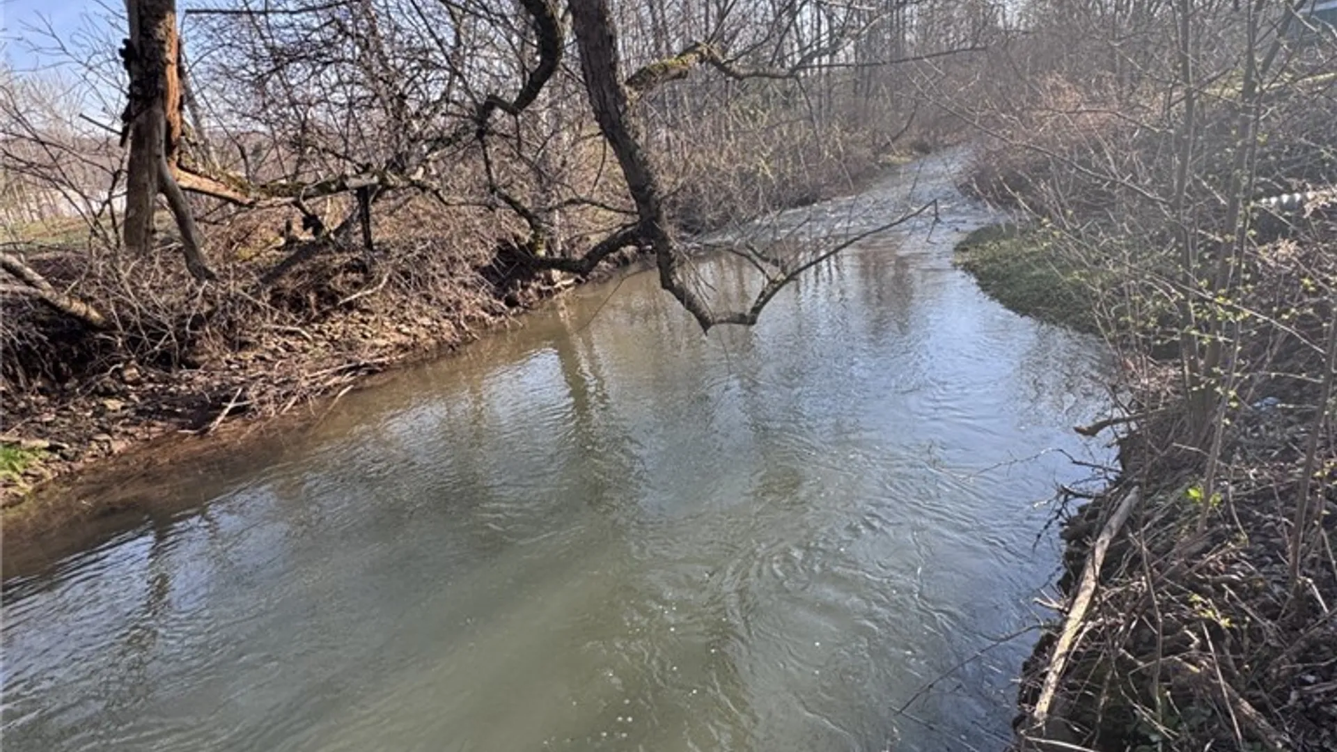Property at 1368 Looker Mountain Trail, Otto Twp, PA 16745 3