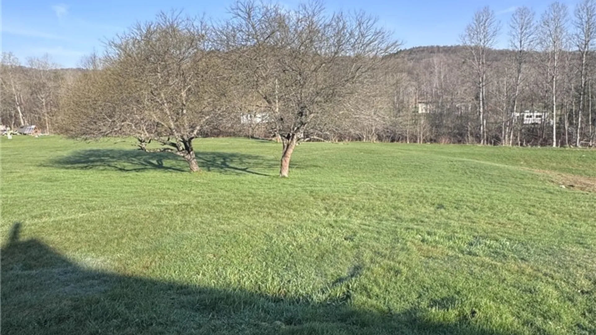 Property at 1368 Looker Mountain Trail, Otto Twp, PA 16745 33
