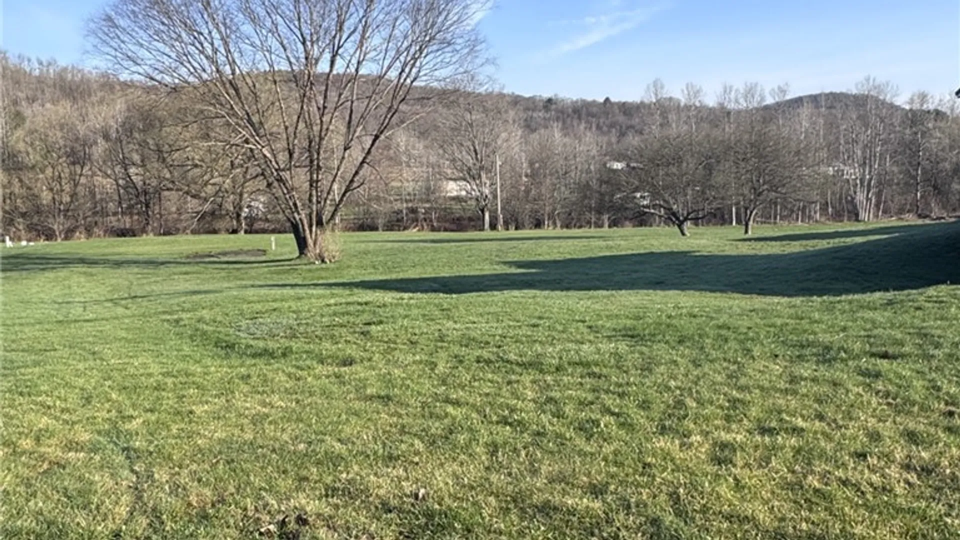 Property at 1368 Looker Mountain Trail, Otto Twp, PA 16745 4