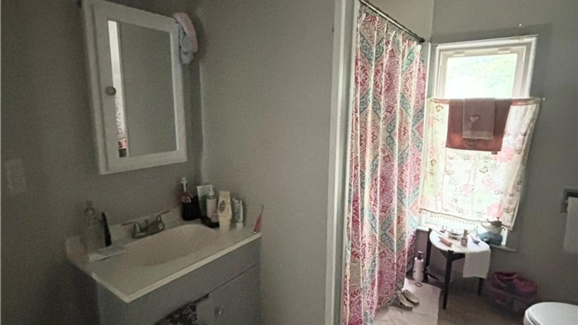 Property at 409 Herrick Street, Elmira City, NY 14904 12