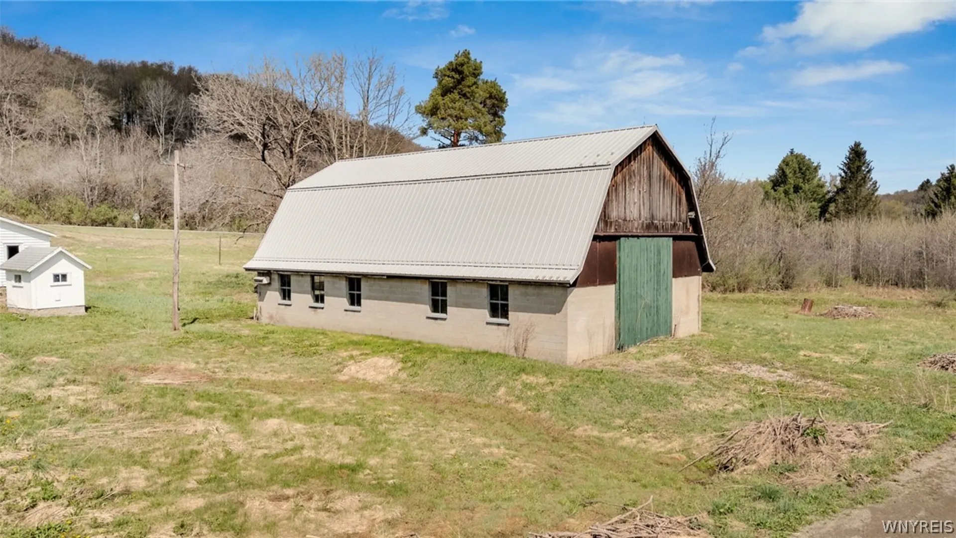 Property at 8465 Route 219 / Hebdon Road, Ellicottville, NY 14171 5