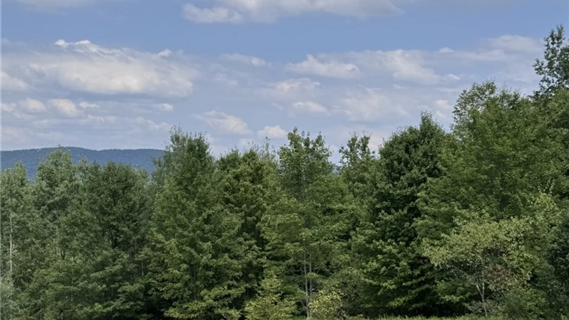 Property at 16426 Route 6, Keating Town, PA 16749 35