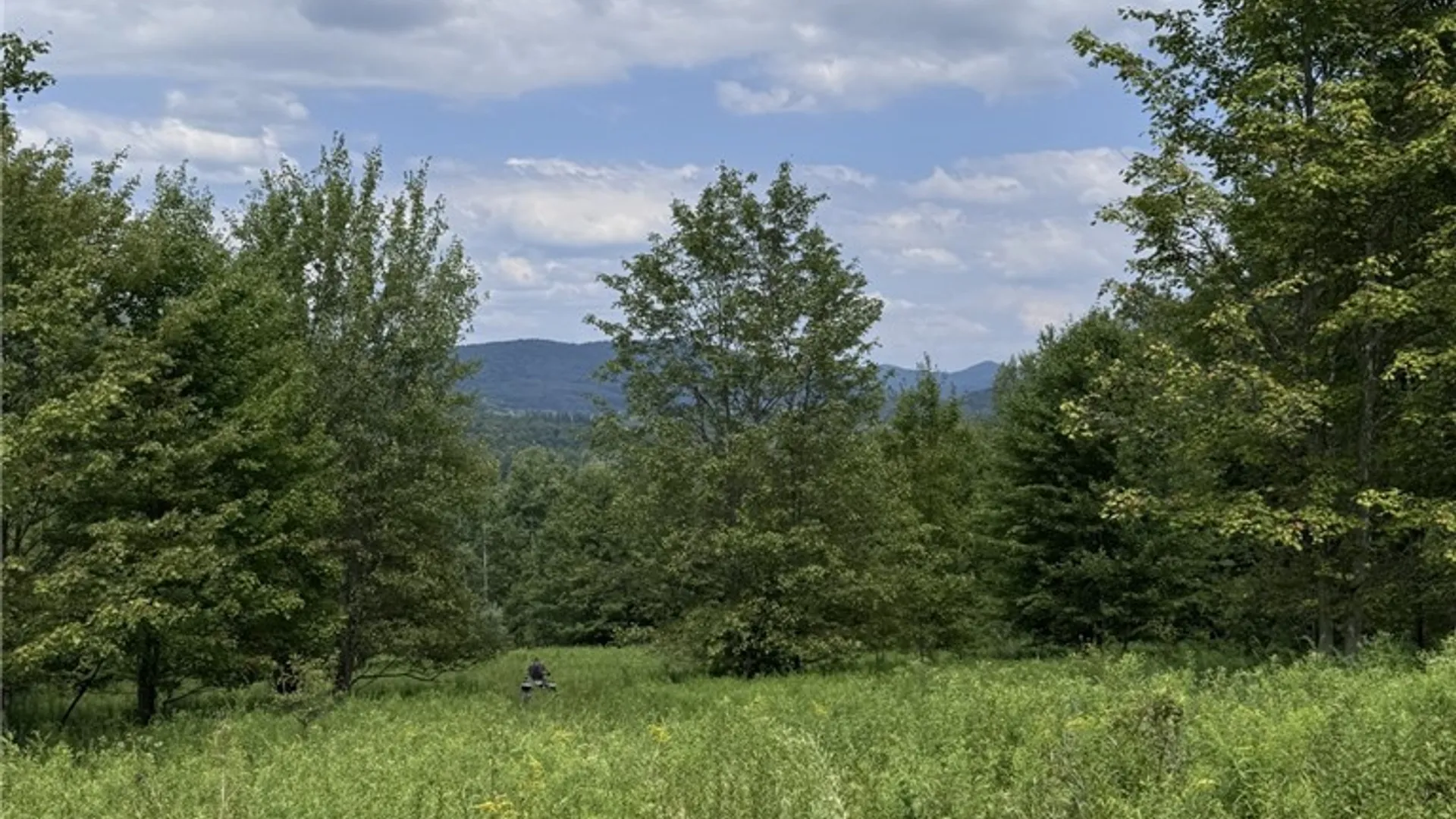 Property at 16426 Route 6, Keating Town, PA 16749 38