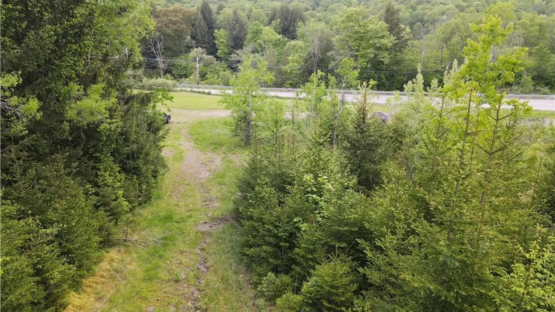 Property at 16426 Route 6, Keating Town, PA 16749 41
