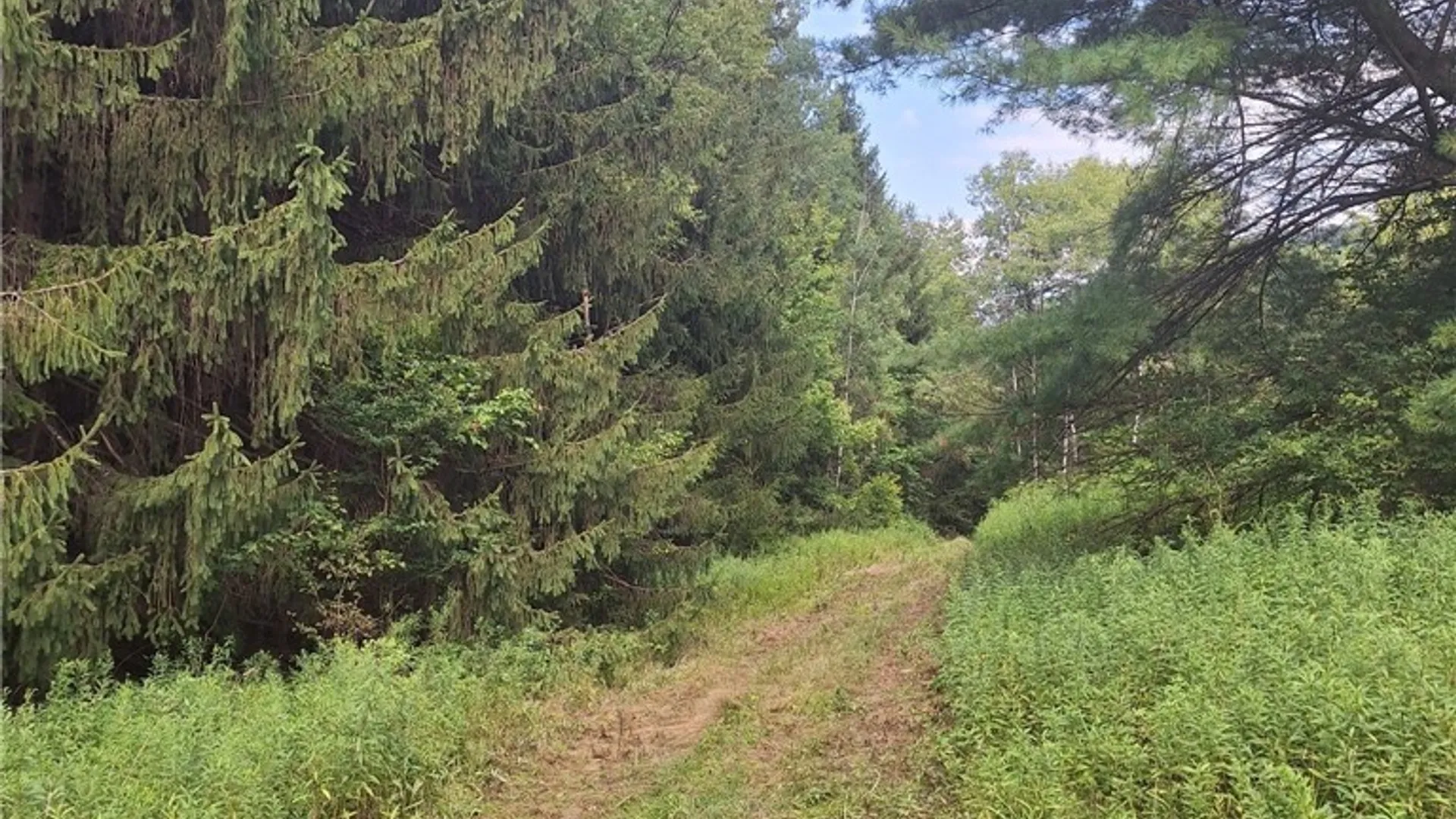 Property at 16426 Route 6, Keating Town, PA 16749 42
