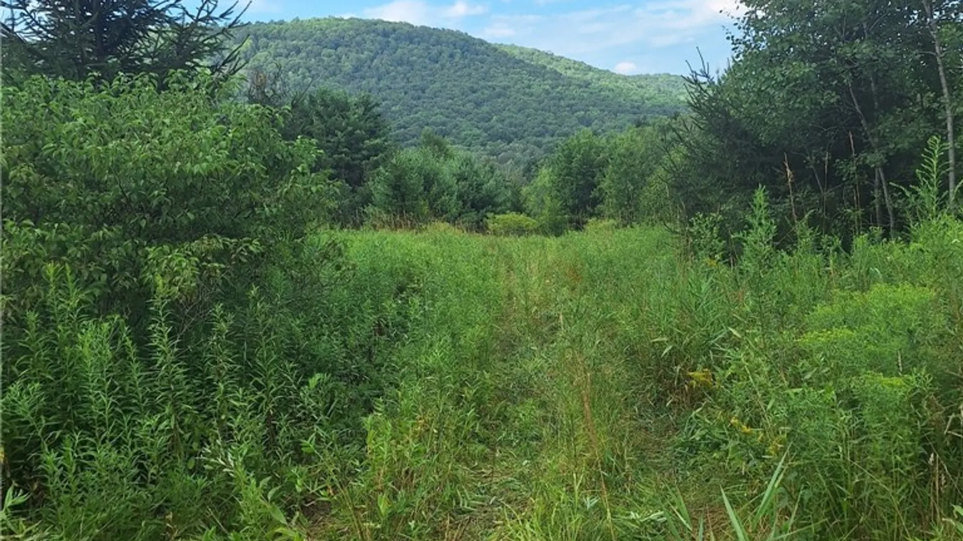 Property at 16426 Route 6, Keating Town, PA 16749 43