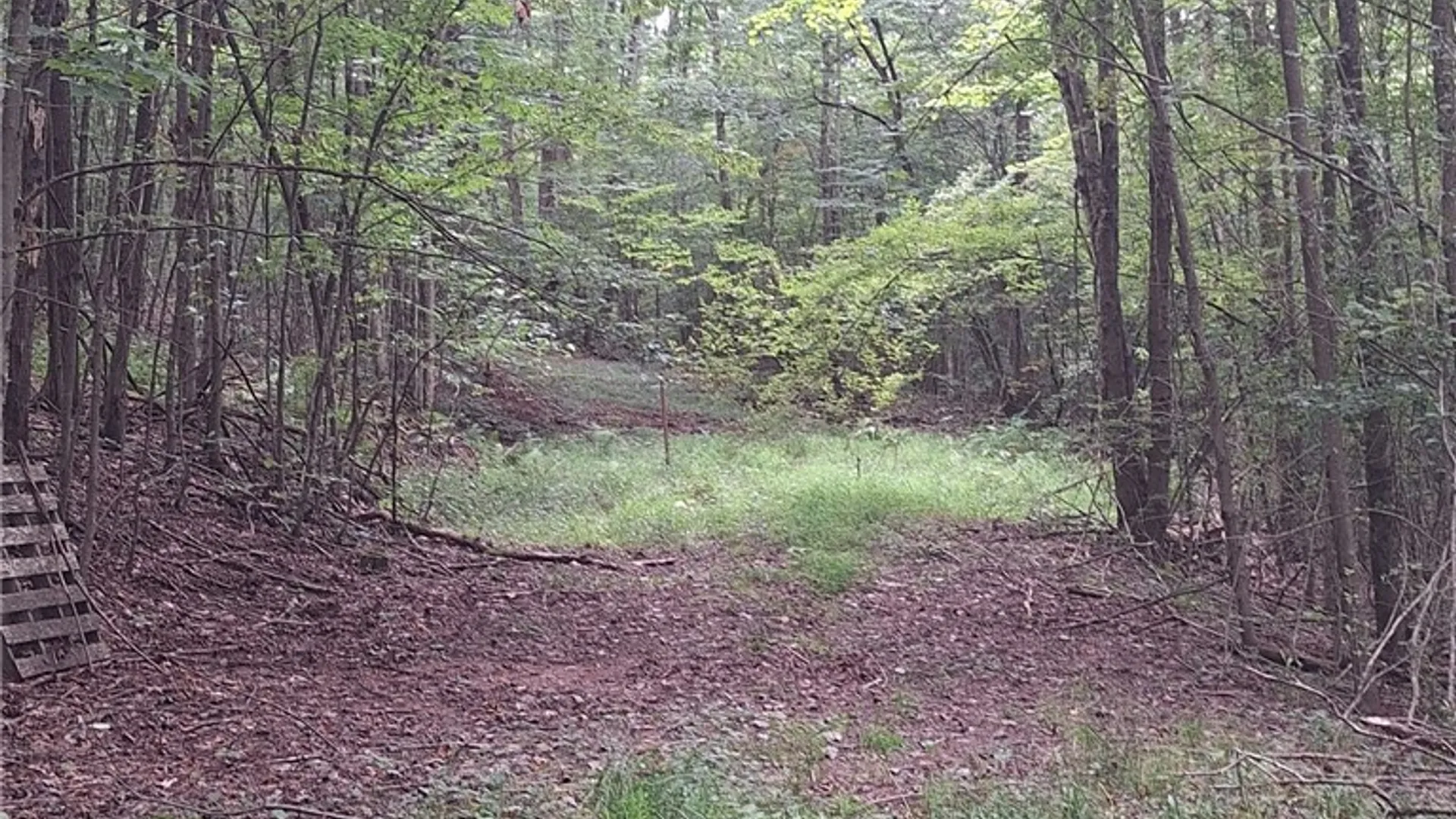 Property at 16426 Route 6, Keating Town, PA 16749 44