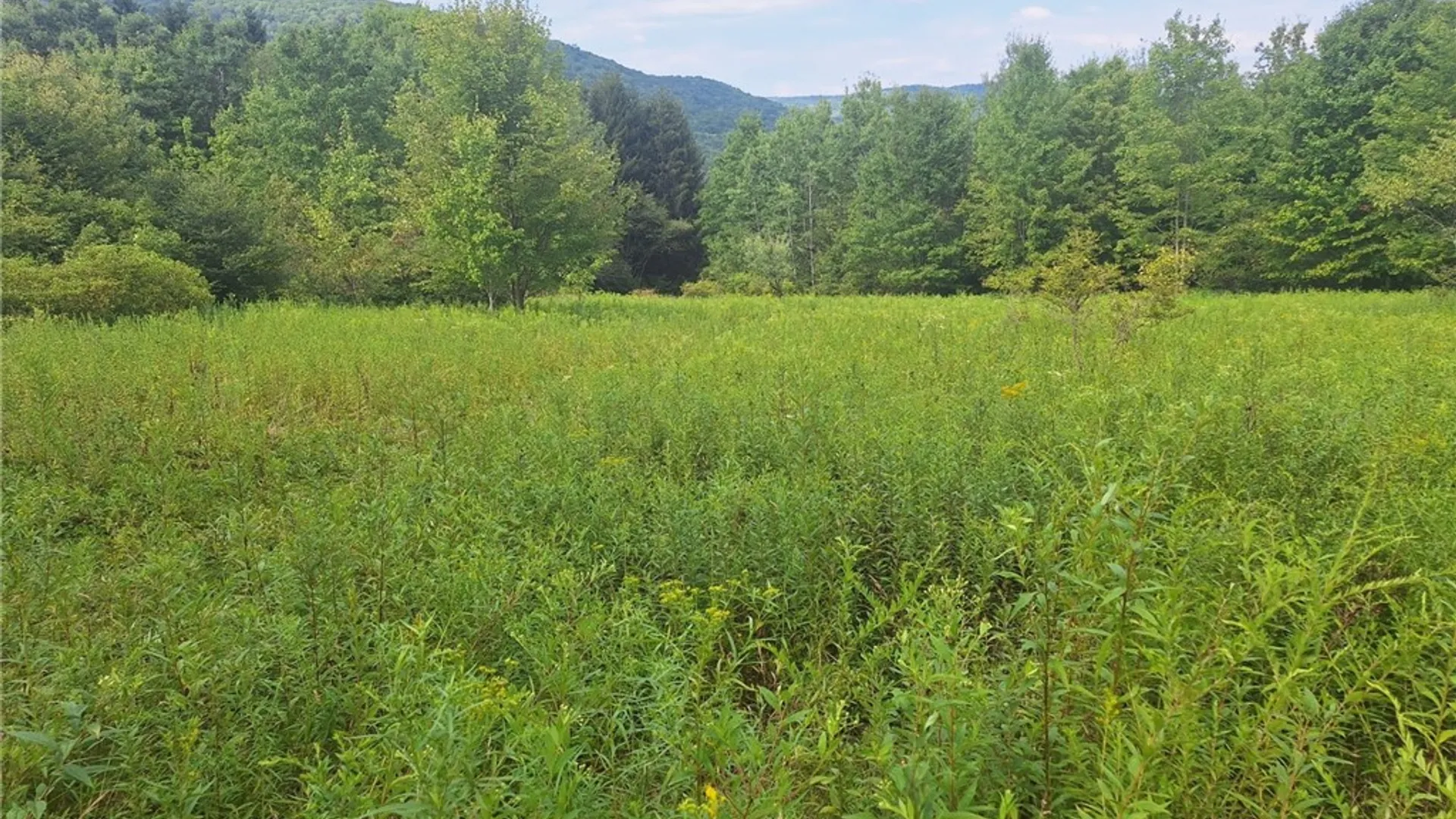 Property at 16426 Route 6, Keating Town, PA 16749 46