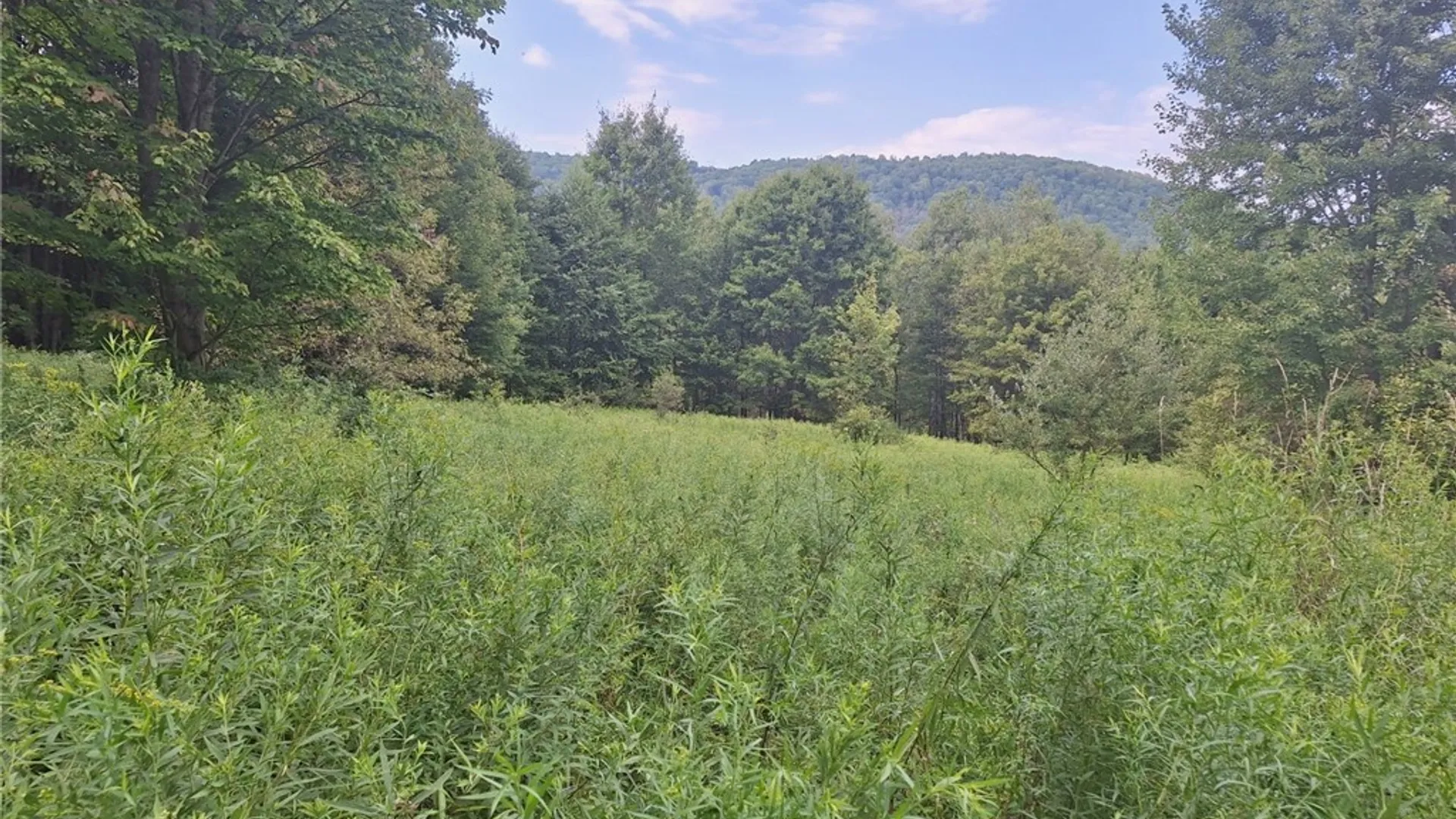 Property at 16426 Route 6, Keating Town, PA 16749 47