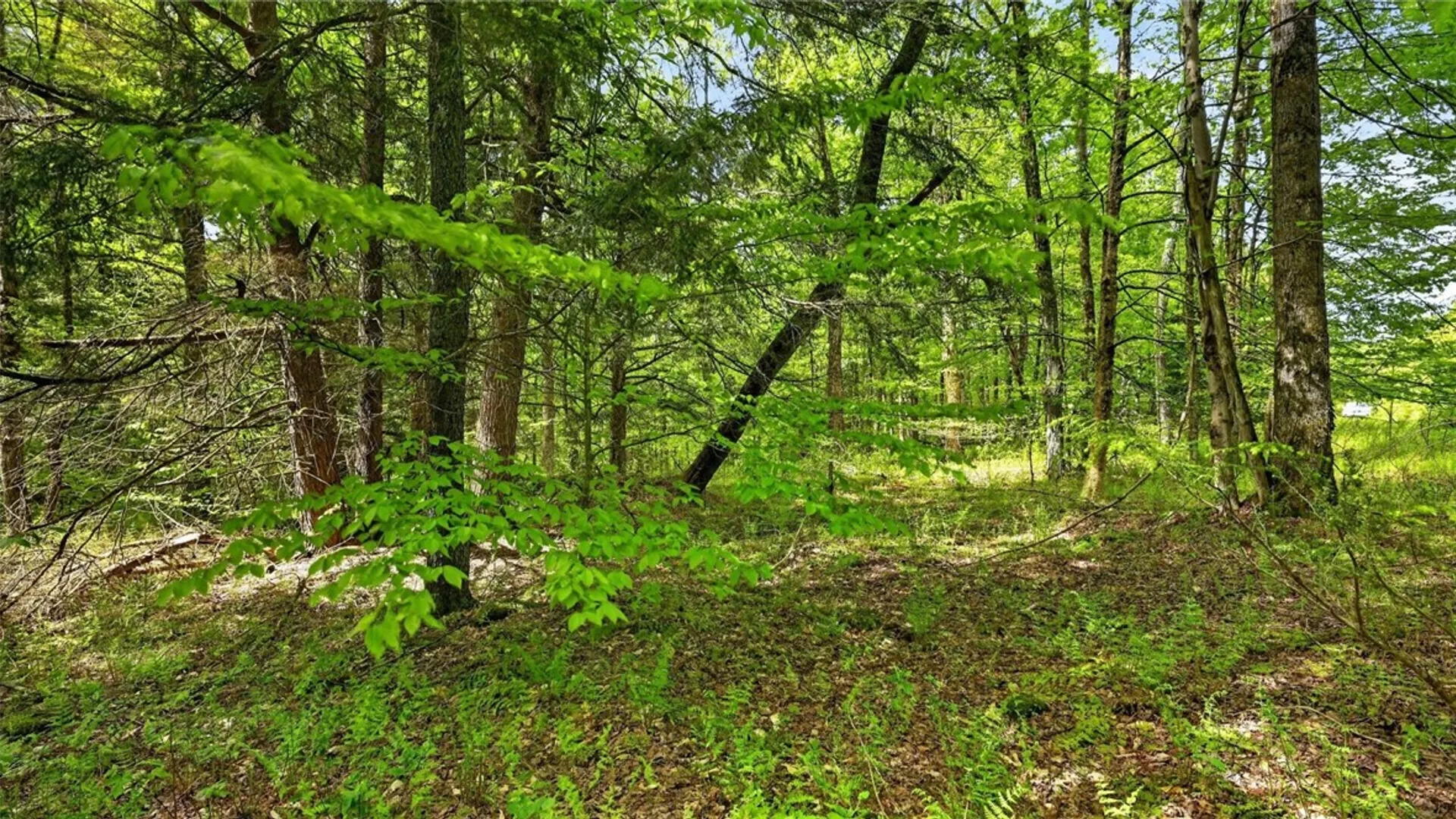 Property at L1.6 Crystal Brook Path, Jefferson, NY 12093 10