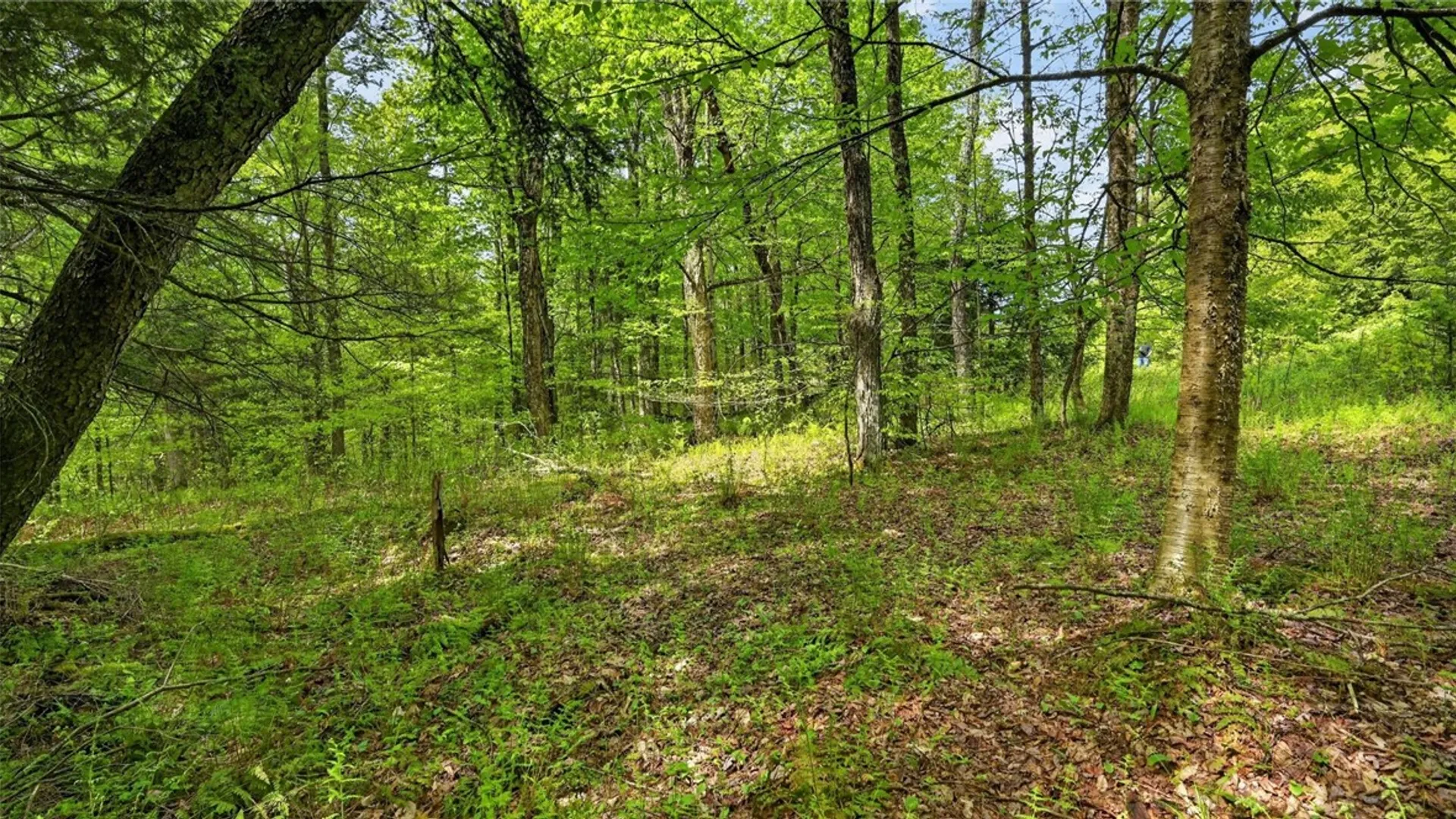 Property at L1.6 Crystal Brook Path, Jefferson, NY 12093 12