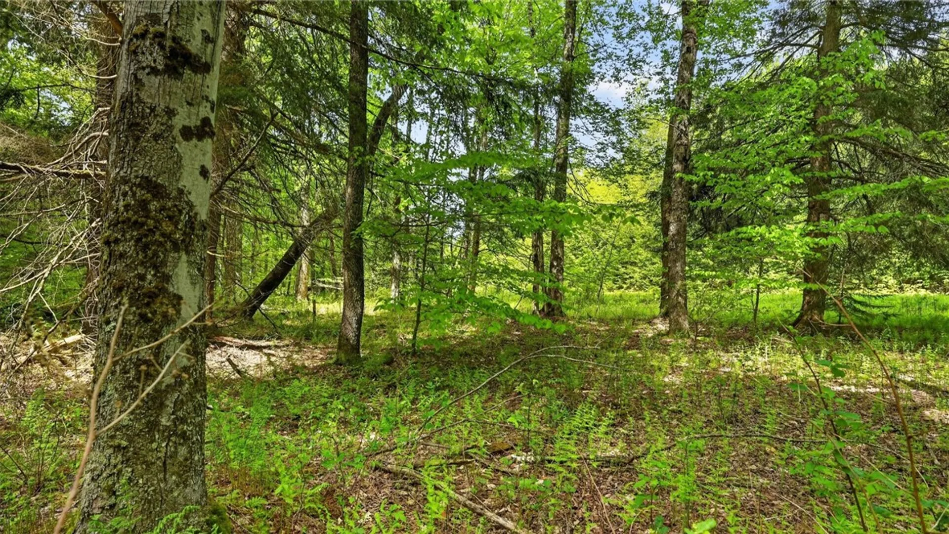 Property at L1.6 Crystal Brook Path, Jefferson, NY 12093 13