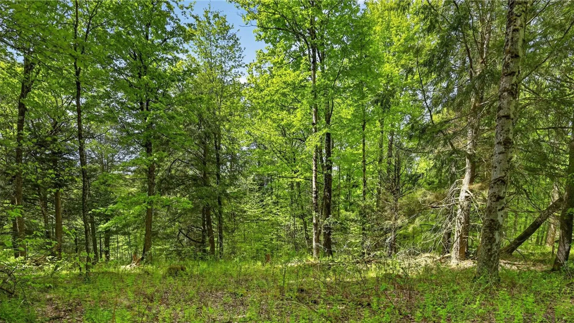 Property at L1.6 Crystal Brook Path, Jefferson, NY 12093 15