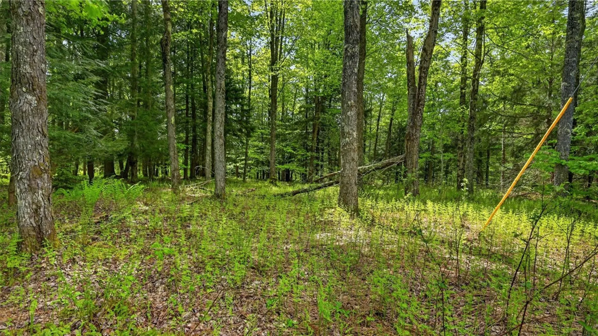 Property at L1.6 Crystal Brook Path, Jefferson, NY 12093 16