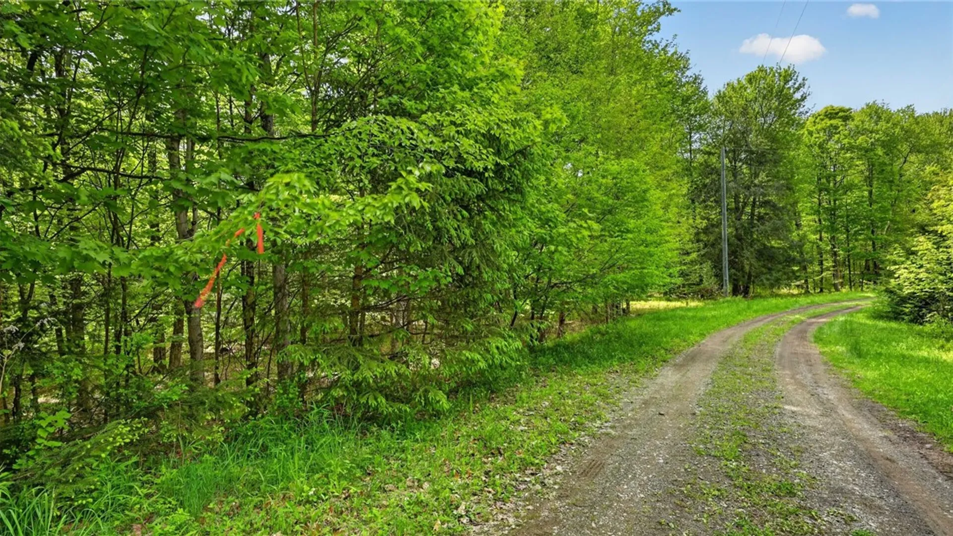 Property at L1.6 Crystal Brook Path, Jefferson, NY 12093 19