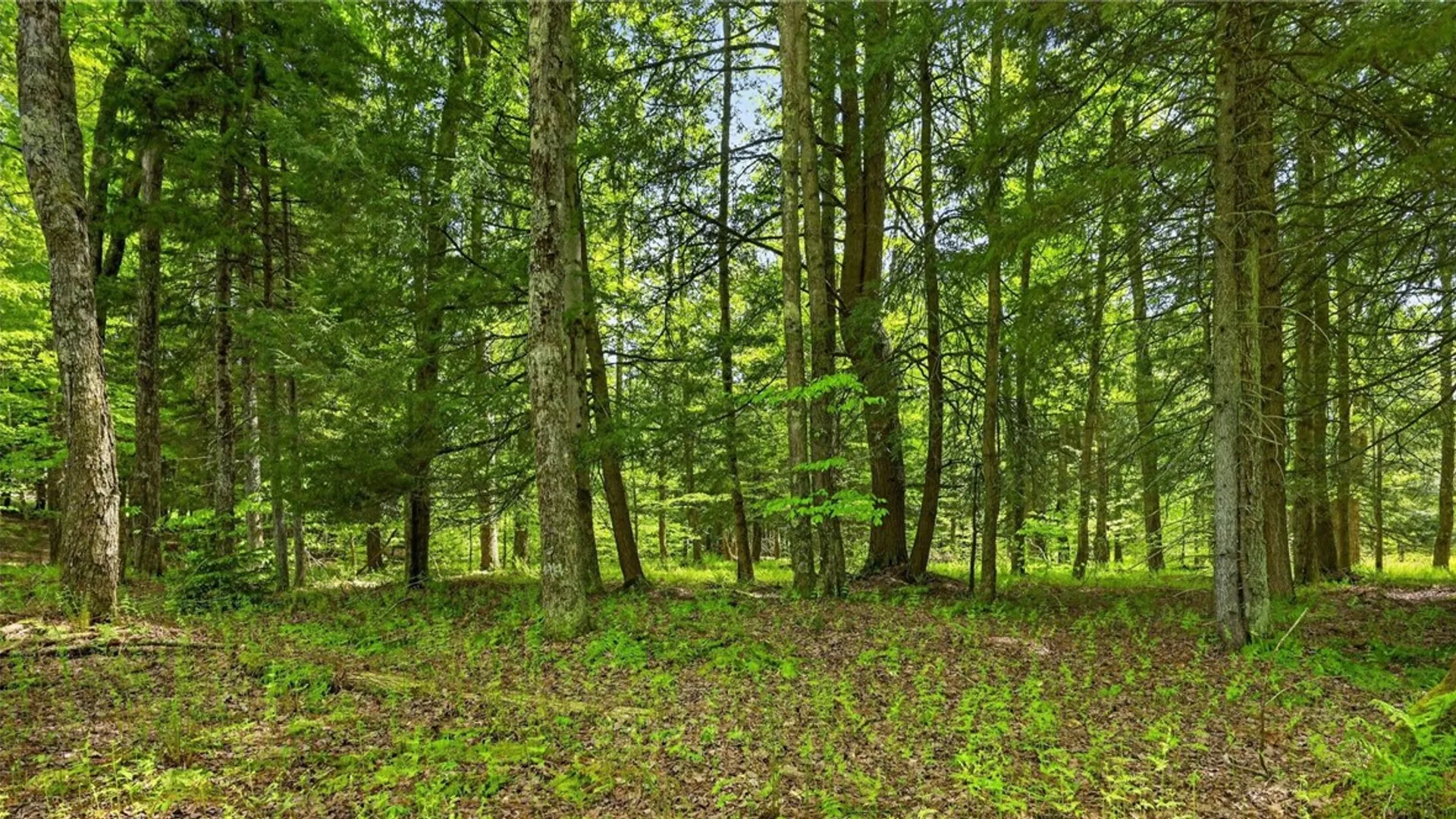 Property at L1.6 Crystal Brook Path, Jefferson, NY 12093 2