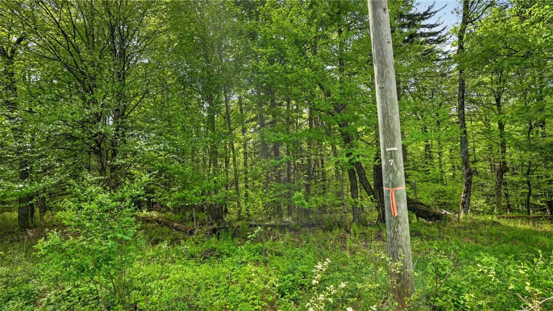 Property at L1.6 Crystal Brook Path, Jefferson, NY 12093 8
