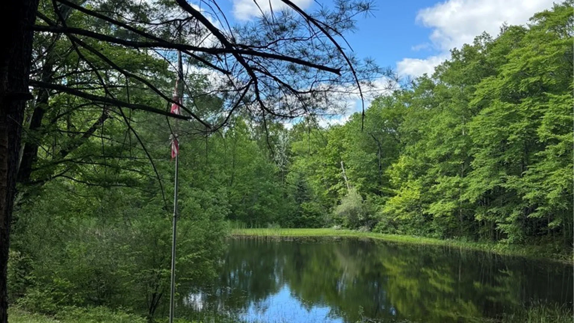 Property at 10147 Savage Road, Sardinia, NY 14080 2