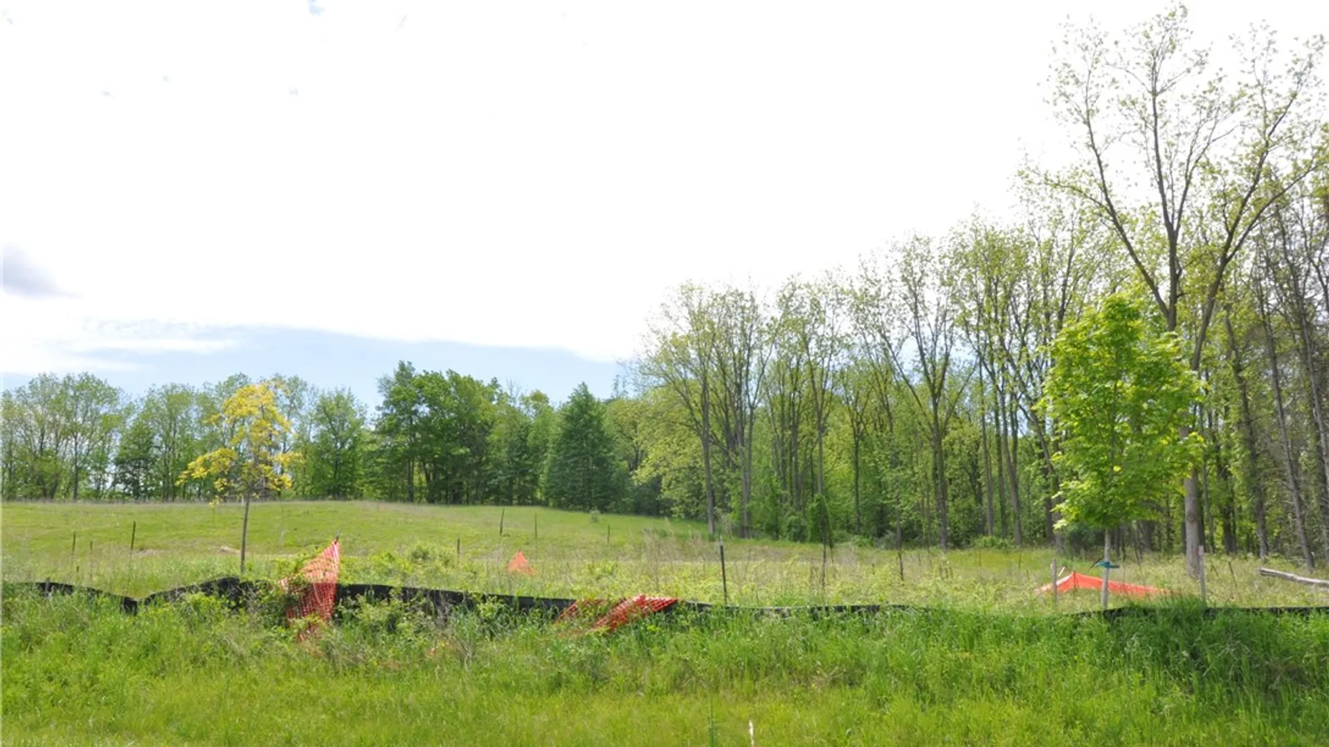 Property at 1086 Strong Road Lot 1, Victor, NY 14564 14